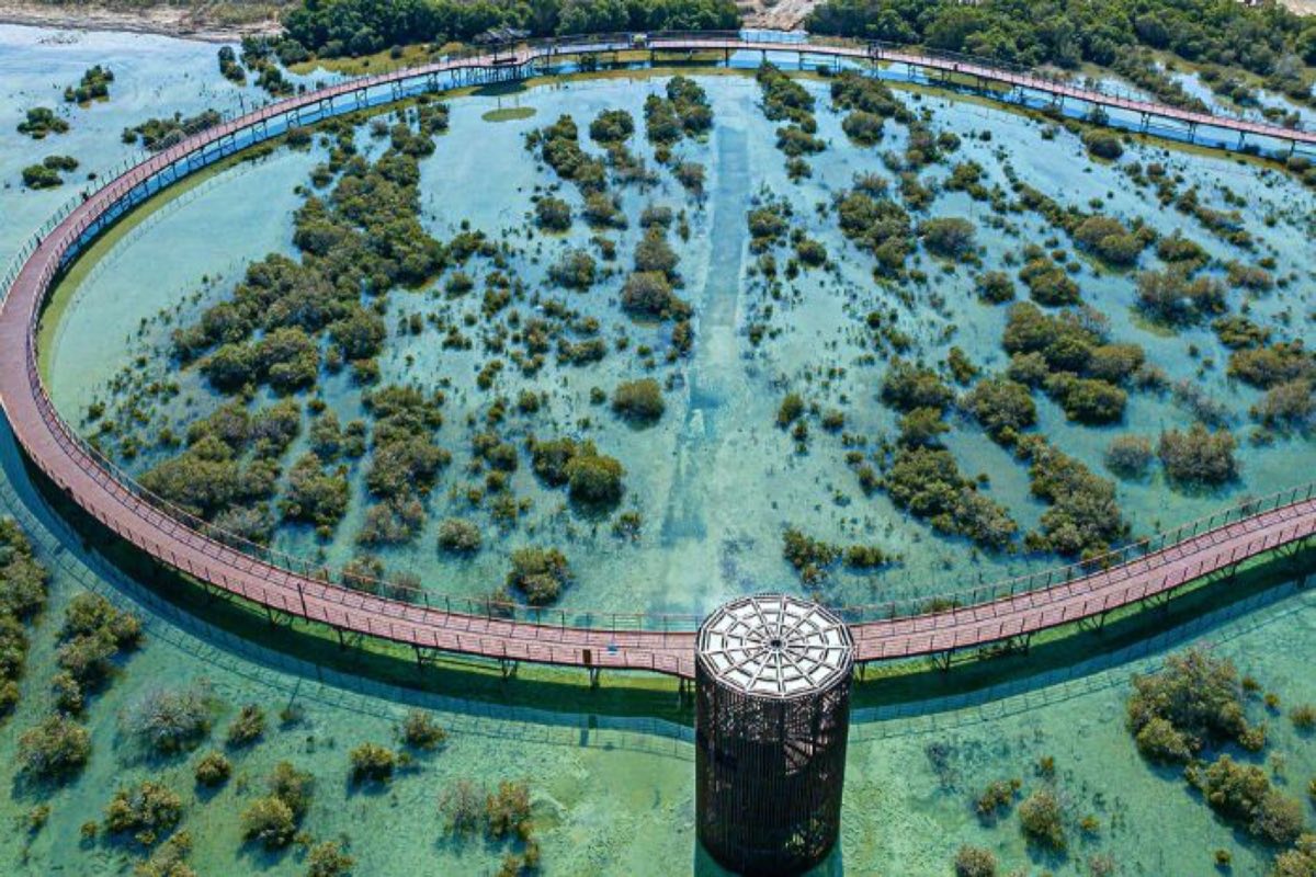Aerial view of the Mamsha Al Mugheirah boardwalk through Abu Dhabi mangroves